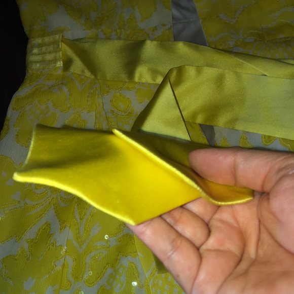 Dress - Picture 7 of 9